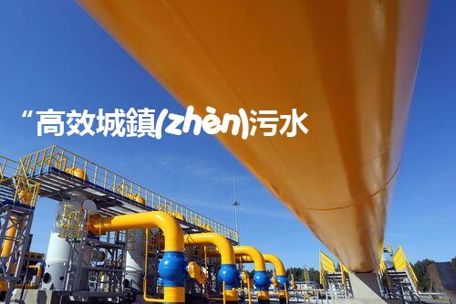 “高效城鎮(zhèn)污水處理流程，守護(hù)碧水藍(lán)天新篇章”